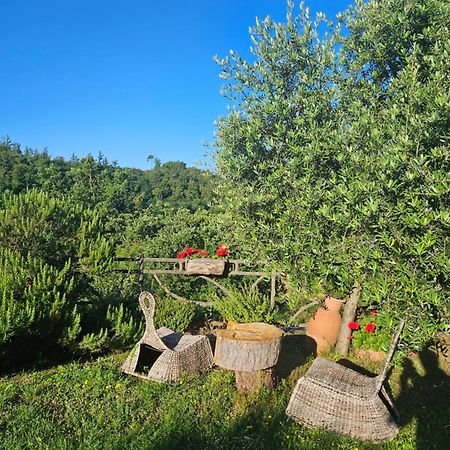 San Martino Country Villa B&B Barberino di Mugello Exterior photo