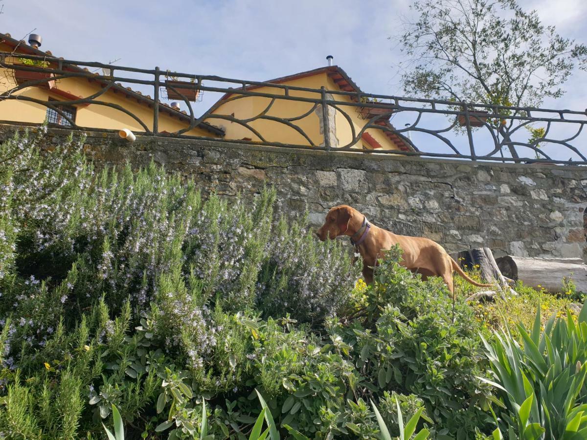 San Martino Country Villa B&B Barberino di Mugello Exterior photo